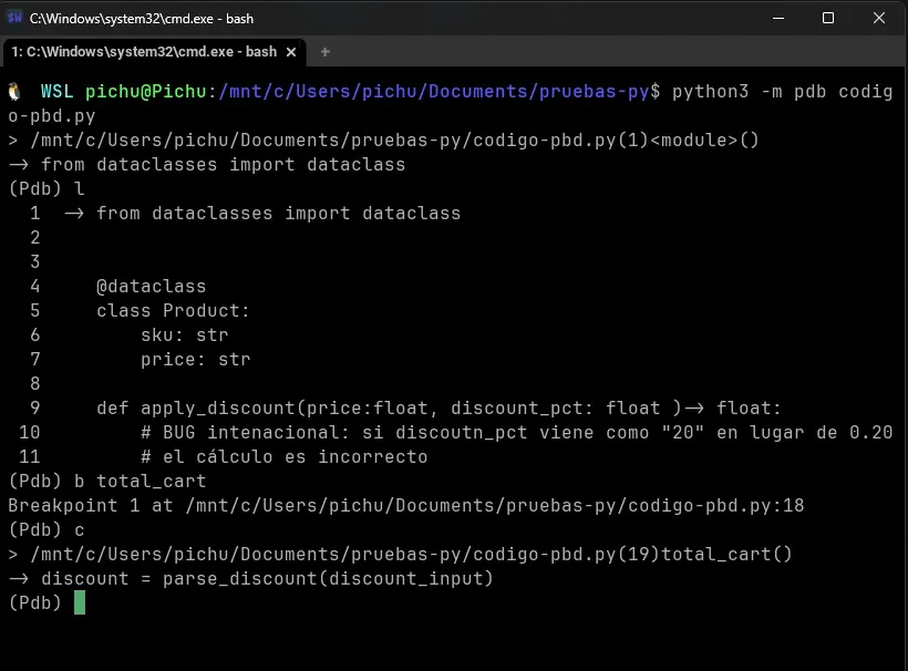 paso c de continuar en pdb