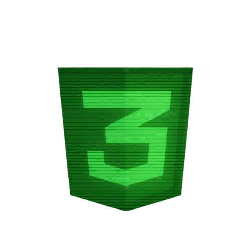 CSS